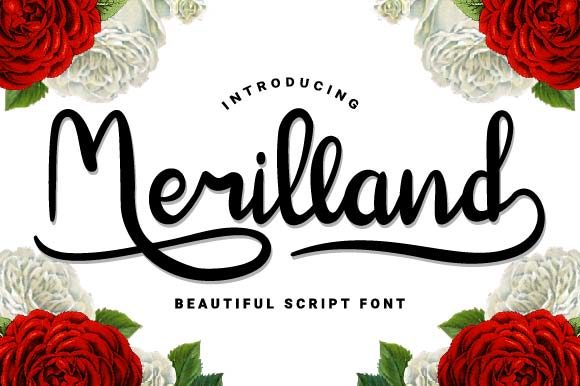 Merilland Font: A Branding Review