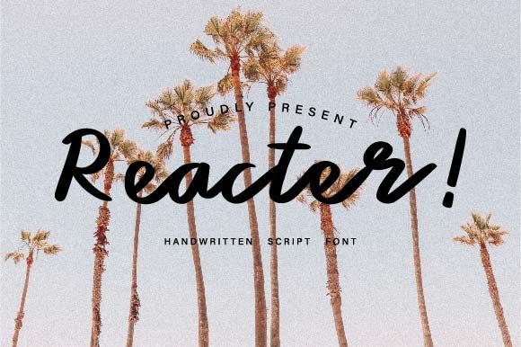 Reacter: A Versatile Handwritten Font for Web Design
