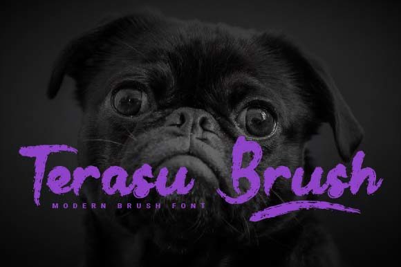 Terasu Brush: A Designer’s Honest Review