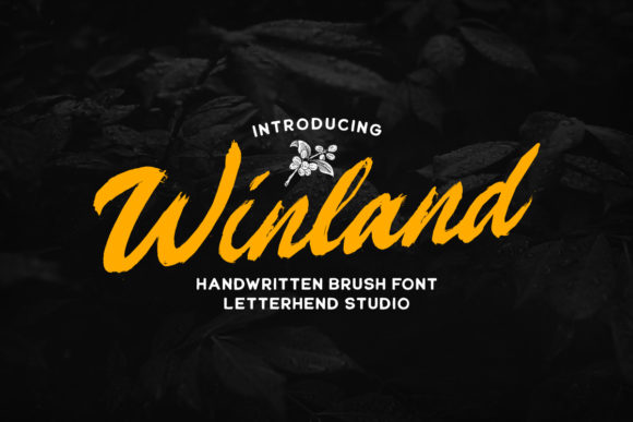 Winland Font: A Vintage Script for Branding